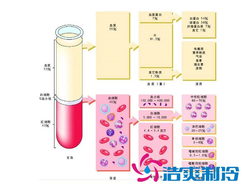 -30℃～-80℃血漿蛋白低溫冷凍庫規范，冷庫安裝價格